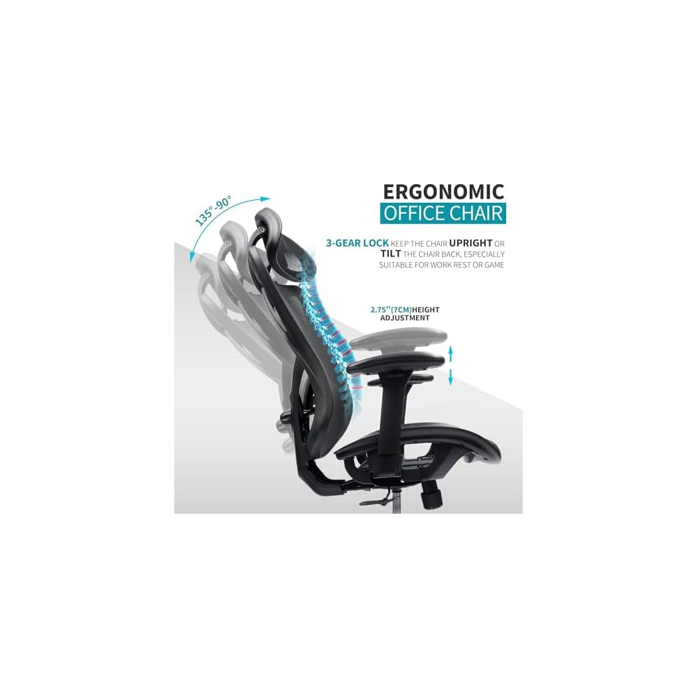 Ergonomic Mesh Office Chair with Adjustable Lumbar Support, Headrest, Armrests, and Heavy Duty Casters for Home, Office, Gaming - Black, Metal, Mesh