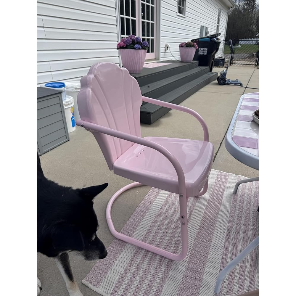 Crosley Furniture Tulip 2-Piece Patio Chair Set